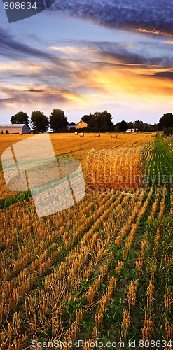 Image of Golden sunset over farm field