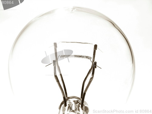 Image of bulb