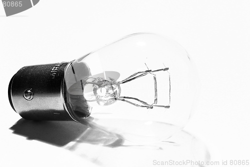 Image of bulb