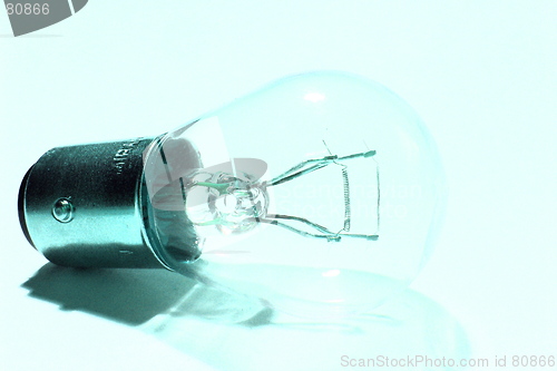 Image of bulb