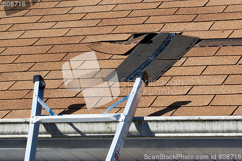 Image of Damaged Roof Shingles Repair