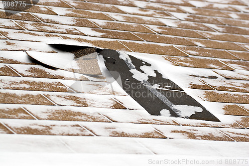 Image of Winter Damaged Roof Shingles