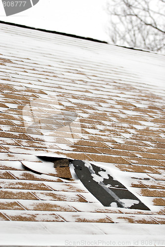 Image of Winter Damaged Roof Shingles