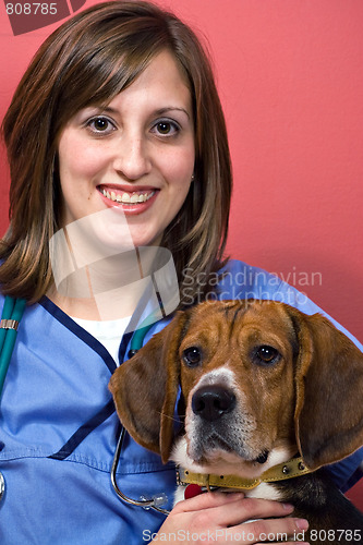 Image of Veterinarian with a Beagle