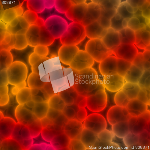 Image of 3D Cells