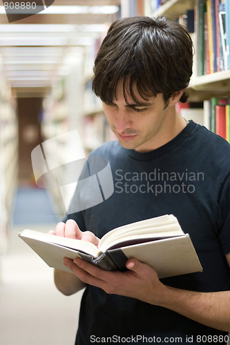 Image of Student At the Library