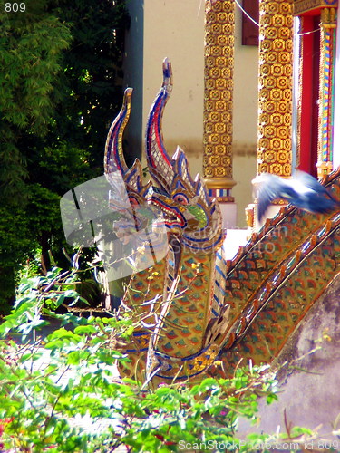 Image of The dragons. Chiang Mai. Thailand