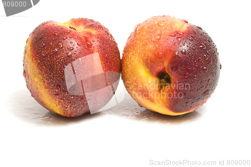 Image of fresh perfect looking nectarines