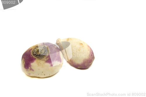 Image of garden turnips