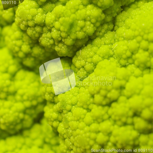 Image of Cauliflower