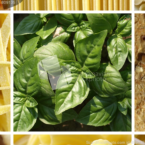 Image of Italian food collage