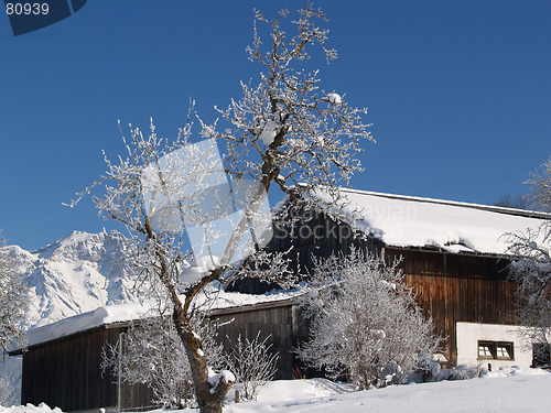 Image of Winterfarm