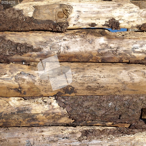 Image of Wood