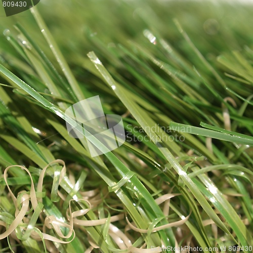 Image of Artificial grass