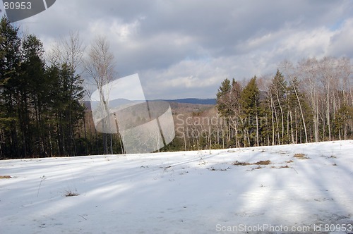 Image of winter field