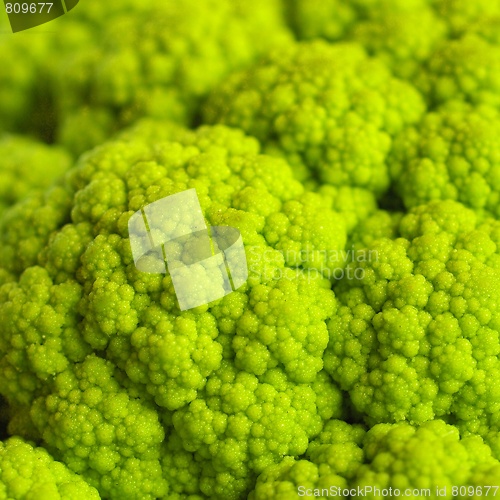 Image of Cauliflower