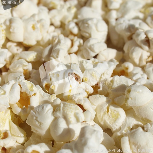 Image of Pop Corn