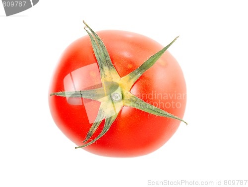 Image of Tomato