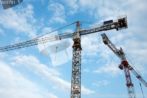 Image of Cranes