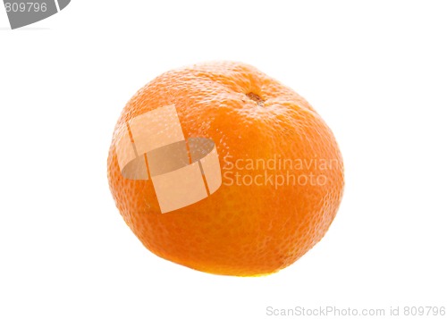Image of Tangerine