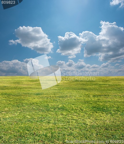 Image of Field