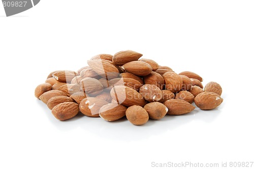 Image of Almond