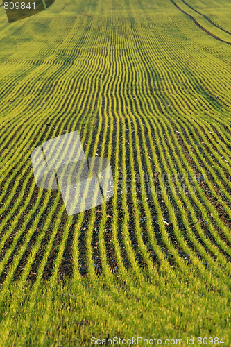 Image of Agriculture