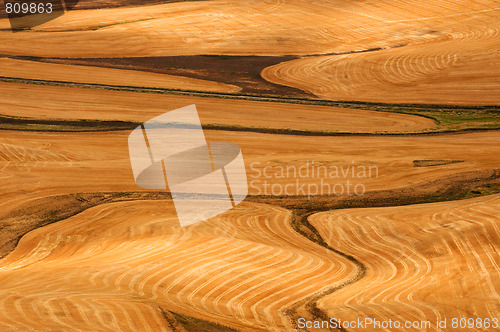 Image of Harvest time