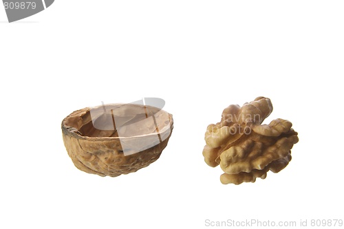 Image of Walnut