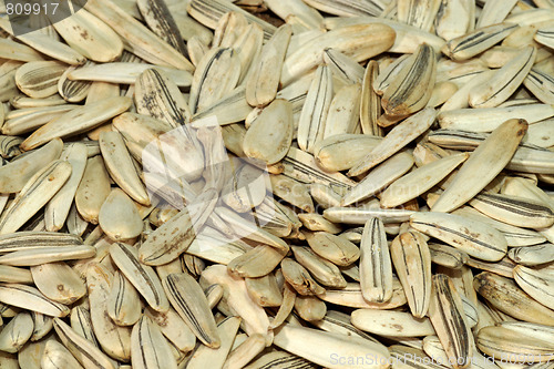 Image of Sunflower seeds