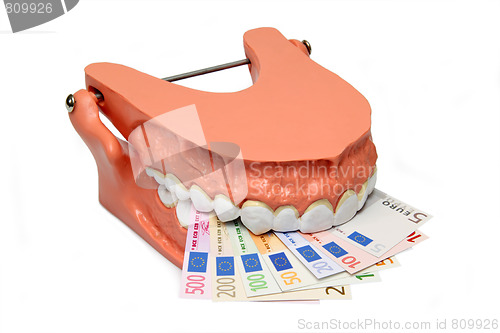 Image of Teeth model