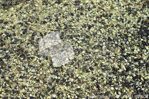 Image of Lemon pepper