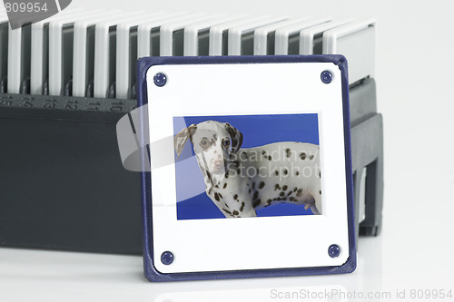 Image of Framed slides