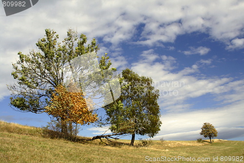 Image of autumn time