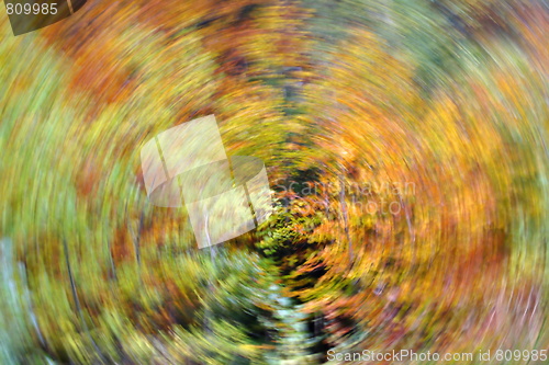 Image of abstract autumn time