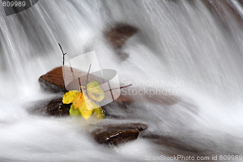 Image of waterfall
