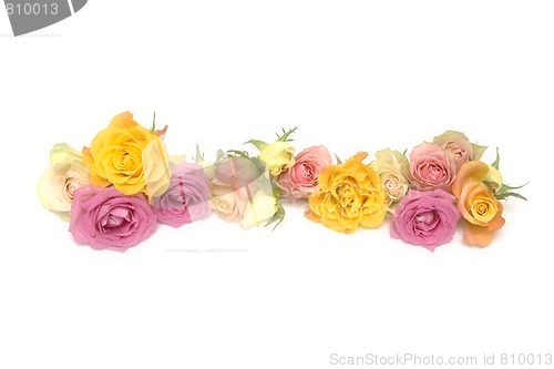 Image of Pink and yellow roses