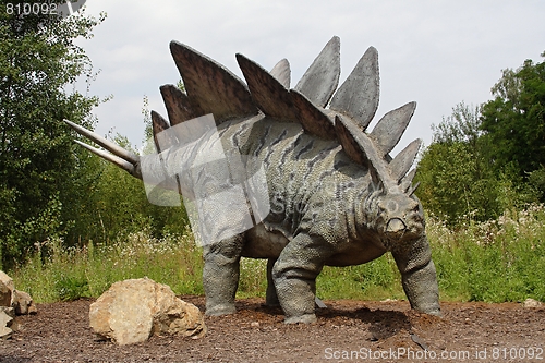 Image of stegosaurus