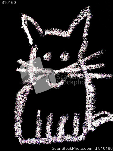 Image of cat