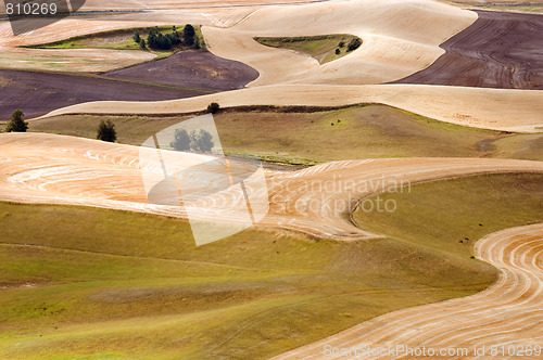 Image of Harvest time