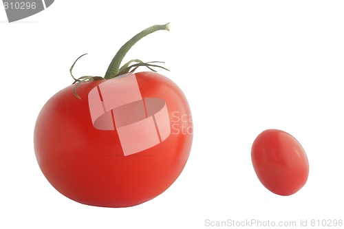 Image of Two ripe tomatoes