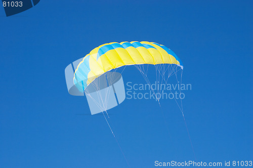 Image of Kite in sky