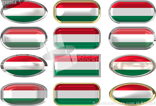 Image of twelve buttons of the Flag of Hungary