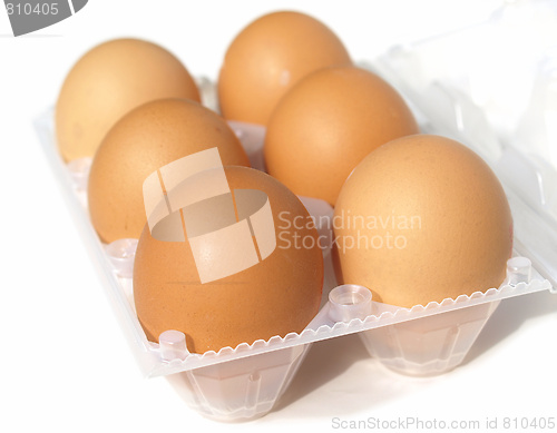 Image of Eggs