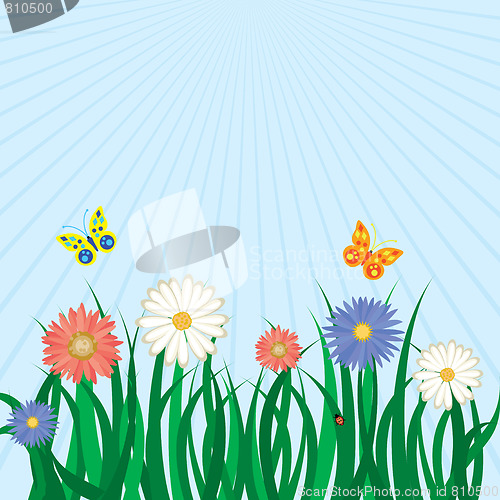 Image of Spring background