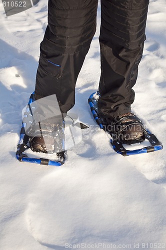 Image of Walking with snow rackets.