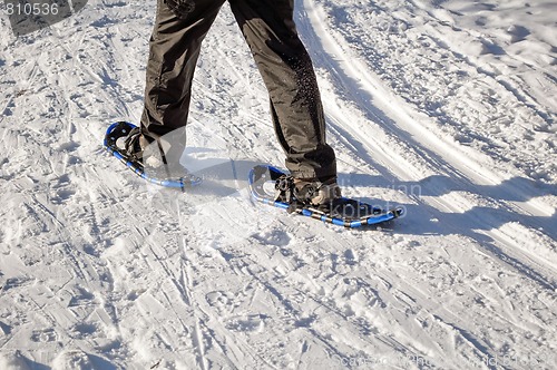 Image of Walking with snow rackets.