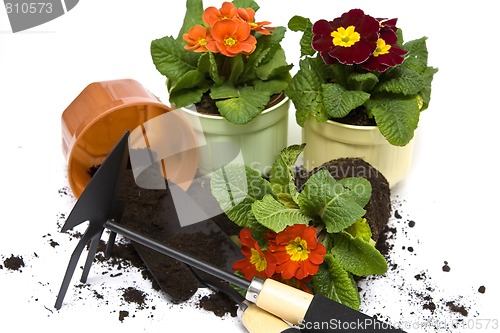 Image of Springtime gardening