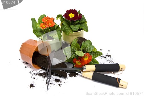 Image of Springtime gardening