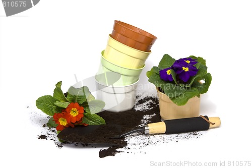 Image of Springtime gardening